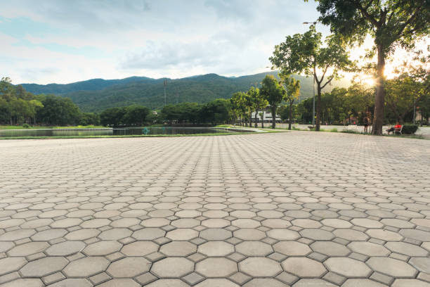 Best Interlocking Driveway Pavers  in St Elmo, IL
